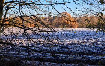 Frozen fields This landscape photograph captures a frozen field covered in frost on a clear winter morning at Tapton Park in the United Kingdom. The scene is framed by bare tree branches in the foreground, highlighting the seasonal change as autumn transitions into winter. In the distance, trees with lingering autumn foliage can be seen, providing a contrast to the icy texture of the field. The image showcases the natural beauty of the park, emphasizing the interplay between nature and seasonal elements in a winter setting.